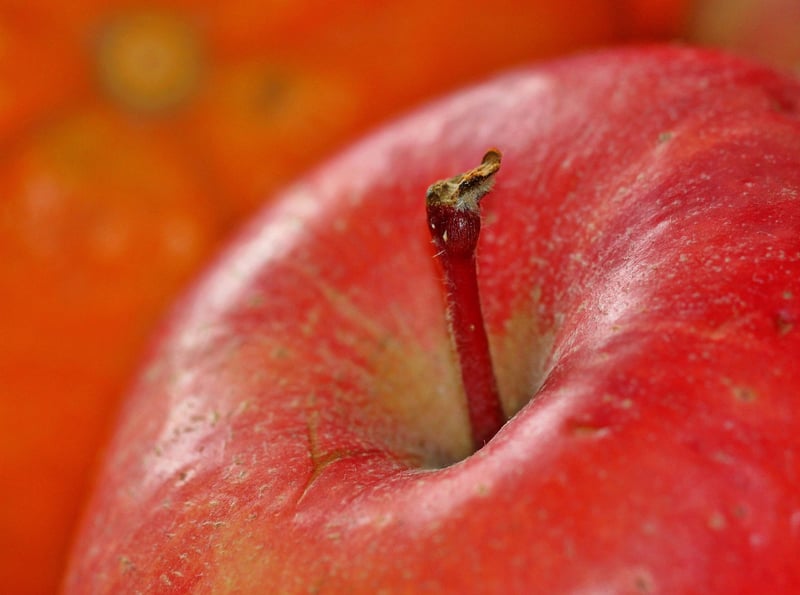 Fall Apple Pie