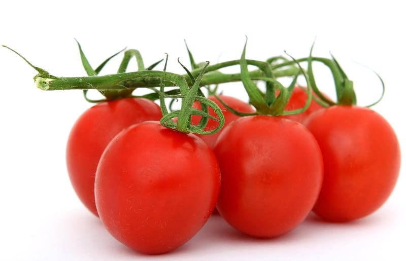 Exotic Ingredients