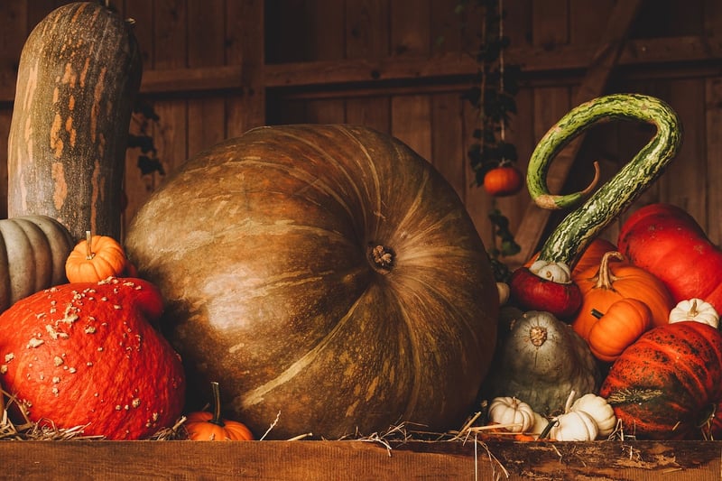 Healthy Pumpkin Dish